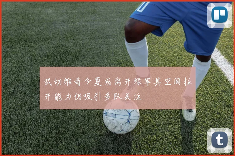 武切维奇今夏或离开绿军其空间拉开能力仍吸引多队关注